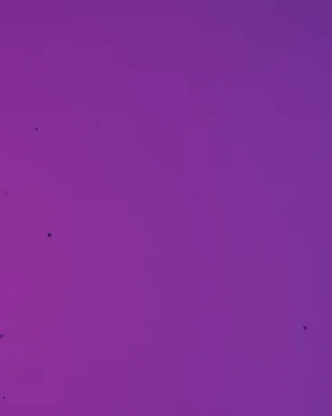 Скидка имениннику 20%